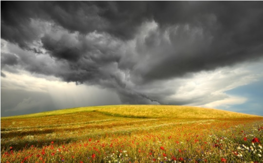 Закарпатський обласний центр з гідрометеорології спрогнозував погоду на території краю 1 серпня та в найближчі дні.
