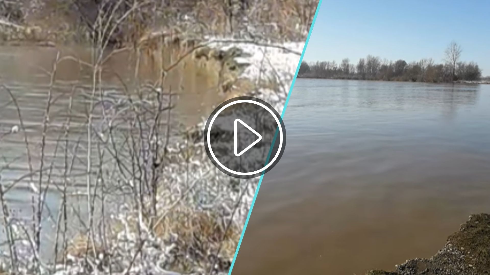 "Там вже берега ниє": закарпатці показали шокуючі кадри паводку в області (ВІДЕО)