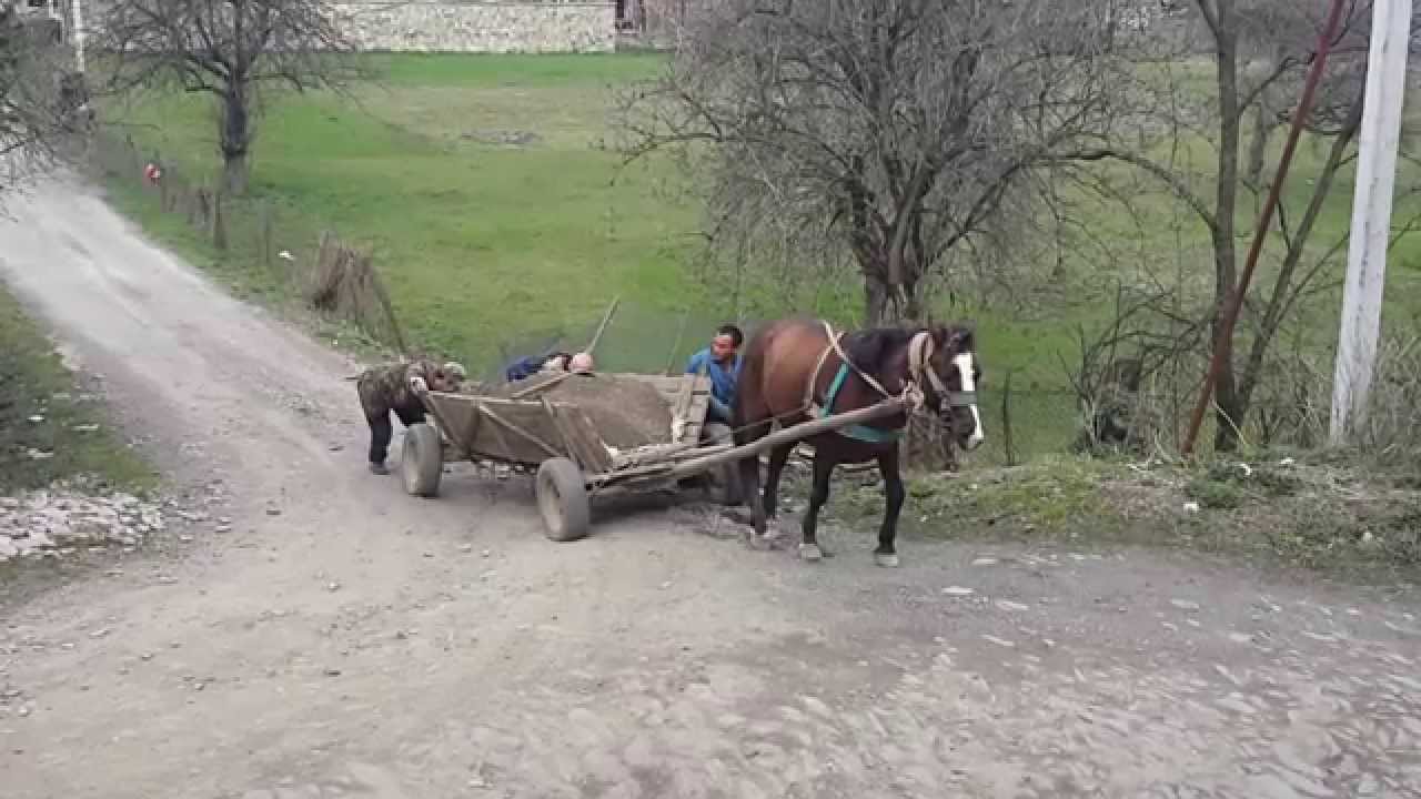 В Ужгороде цыгане обокрали дом