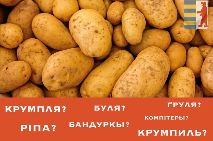 Історія виникнення усіх цих назв картоплі.