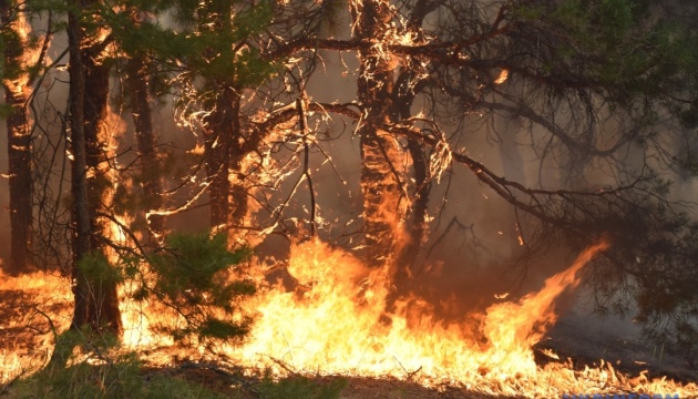 Украина сообщила Международному агентству по атомной энергии (МАГАТЭ), что пожарные борются с лесными пожарами вблизи Чернобыльской АЭС.