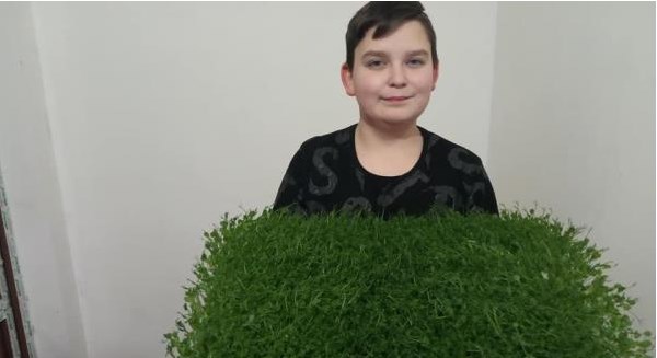 Уже два роки Олександр Стрельніков з Тересви вирощує мікрозелень.