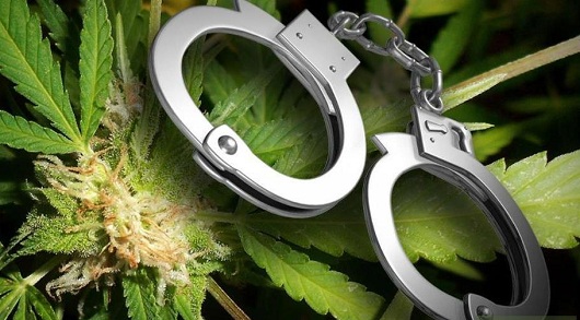 За фактом незаконного зберігання наркотиків поліція Виноградівщини розпочала слідство.