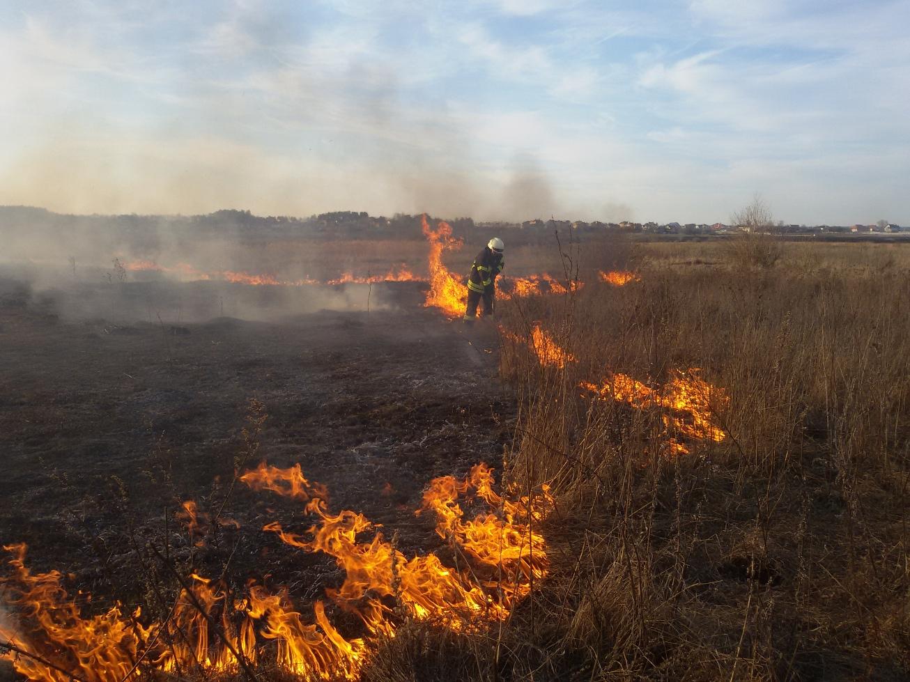На Закарпатті упродовж 16 березня рятувальники зафіксували 9 випадків займання сухої трави та чагарників.