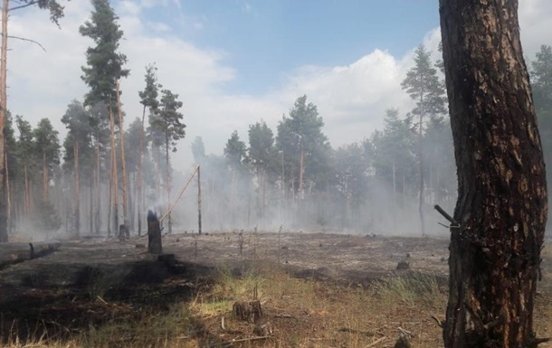 Причиною до збурення вогнем стала суха трава і листяна підстилка. На території області гасять три пожежі.