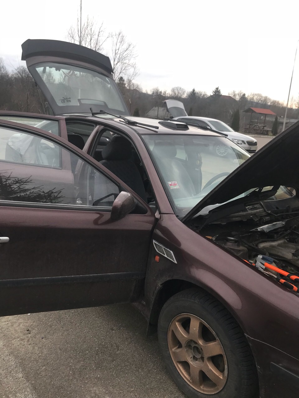 Сьогодні, на митному посту «Солотвино» працівники Закарпатської митниці ДФС припинили спробу переміщення авто в Україну «Škoda Octavia» з фальсифікованим номером кузова.