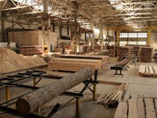 У селі Сіль Ужгородського району на підприємстві по переробці деревини працівник отримав травму, яка призвела до смерті. 