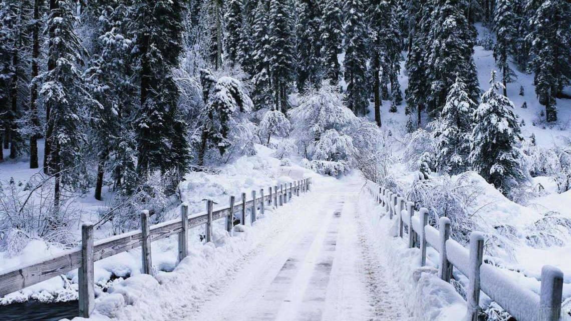 Температура повітря вночі 5-10° морозу, вдень 0-5° морозу, в горах місцями вночі до 13° морозу, вдень 6-11° морозу.
