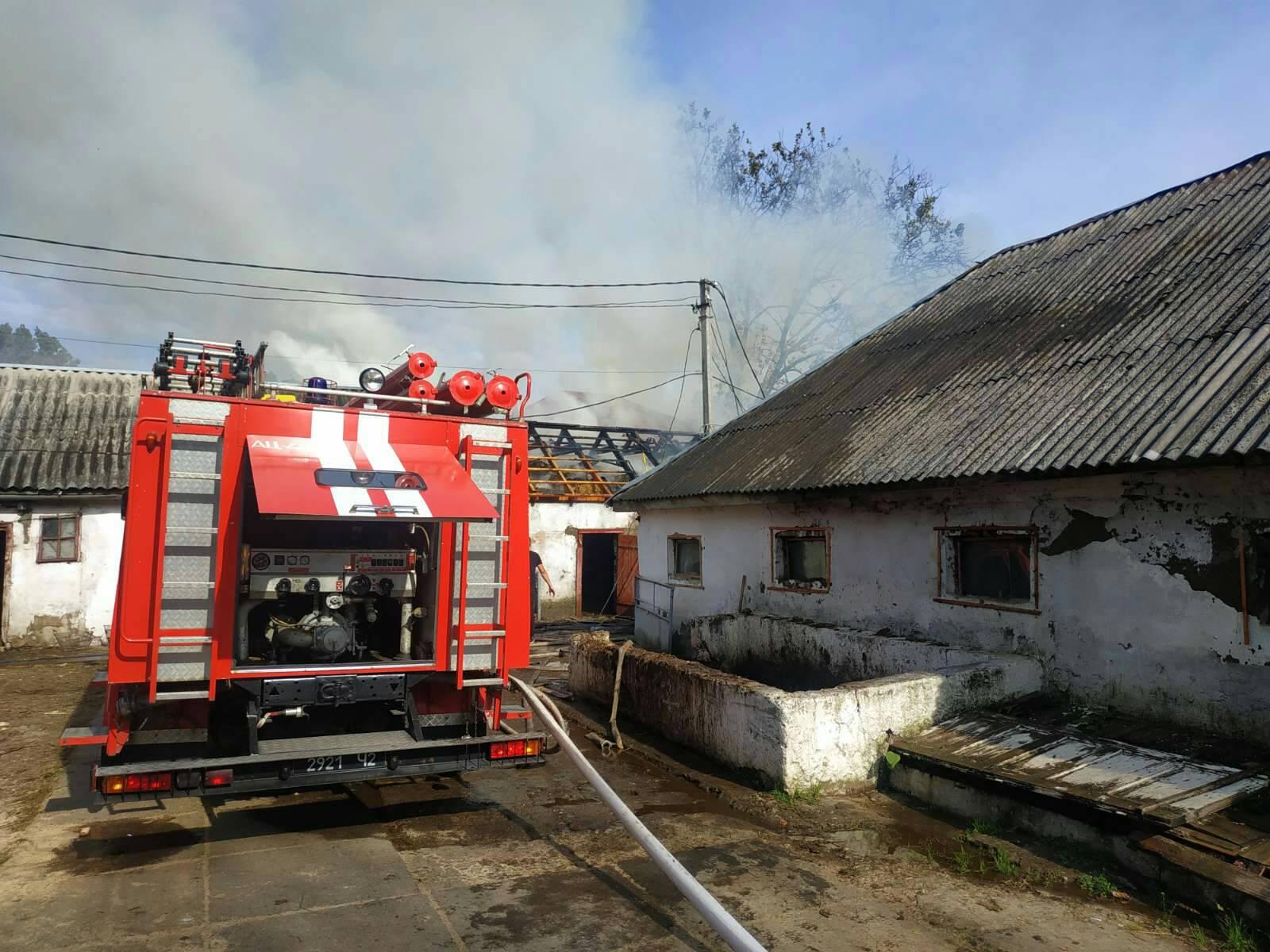 12 жовтня о 12:05 до Служби порятунку надійшло повідомлення про пожежу на горищі господарчої споруди, розташованої на території дитячого будинку-інтернату у Виноградові. Подія трапилася на Станційній.