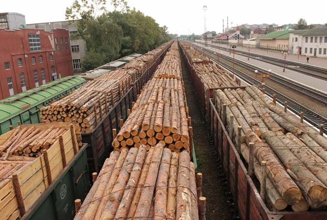 Європейський союз вчергове закликав Україну скасувати мораторій на експорт необробленої деревини.

