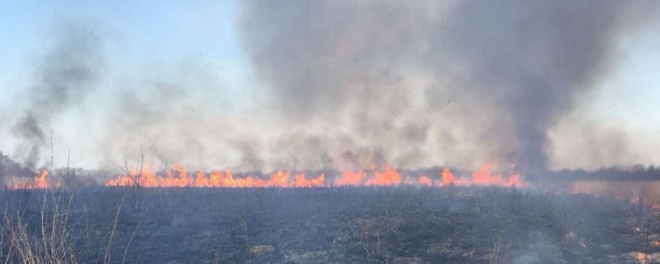 66 случаев возгорания сухой травы и кустарников произошли в течение 28 марта на Закарпатье.