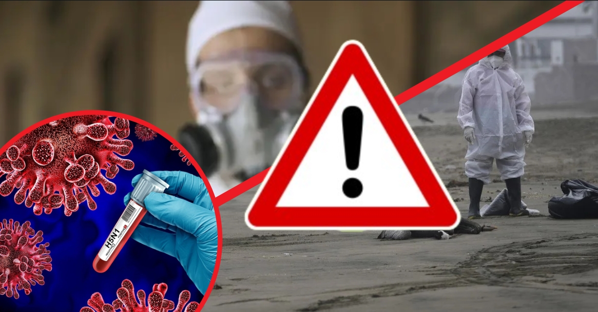 Вірус може еволюціонувати: інфекціоністи б’ють на сполох та попереджають про нову пандемію