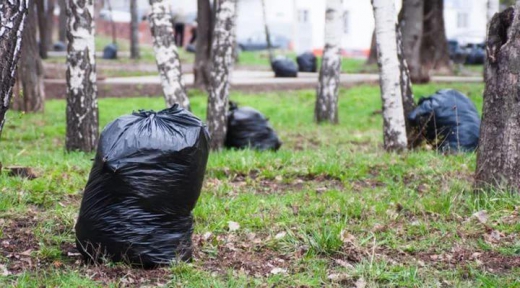 С сегодняшнего дня, 17 марта, в областном центре Закарпатья стартовал месячник благоустройства. Городская власть призывает всех собрать и вывезти мусор из собственной и закрепленной территории.
