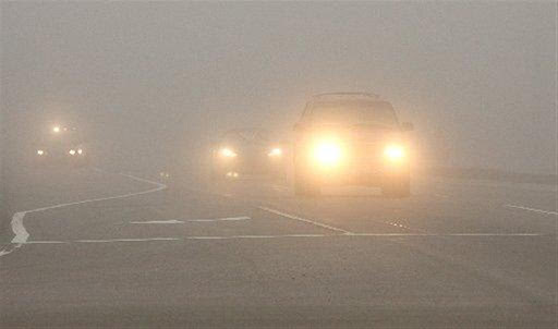 Водители, будьте осторожны! На дорогах области туман!