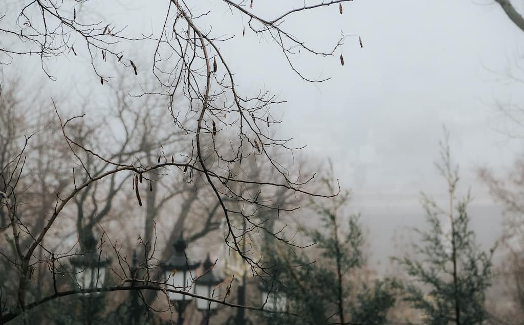 Сильні коливання температури повітря, тумани та дощі прогнозують синоптики на цей тиждень. Вже ближче до вихідних на всій території України очікується сніг та різке похолодання до -10 °С.