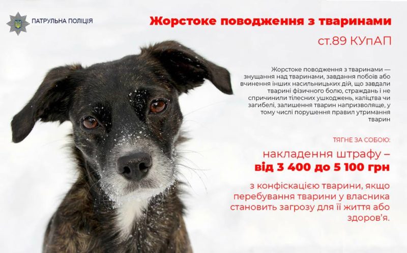 Вчора, близько 22-ї години, патрульним у місті Мукачево надійшло повідомлення про жорстоке поводження з тваринами на вулиці Росвигівській.