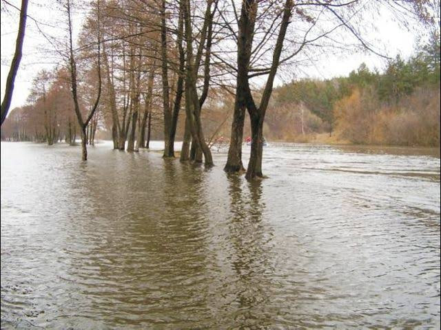 На Закарпатті сильно піднявся рівень води в річках.
