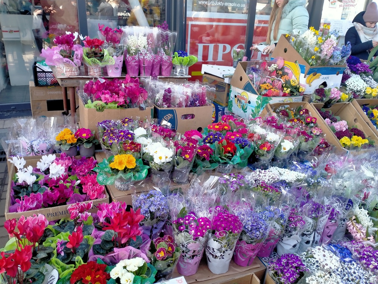Блогер показав актуальні ціни на квіти на оптовому ринку у Виноградові.