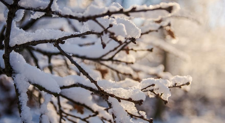До України йде різке похолодання з сильними морозами та снігопадами.