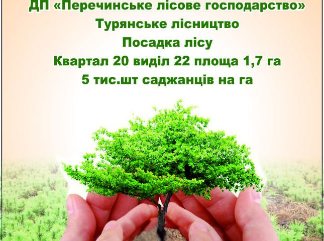 В ДП «Преречинський лісгосп» акція «Майбутнє лісу в твоїх руках» буде проводитись 29 березня 2017 року о 10:00 к.ч. в Турянському лісництві у 20 кварталі 27 виділі. 
