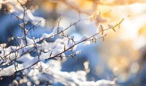 В Закарпатье прогнозируется в течение дня 1 градус тепла - 4 градуса мороза, в горах ночью 12-17 градусов мороза, днем 6-11 градусов мороза