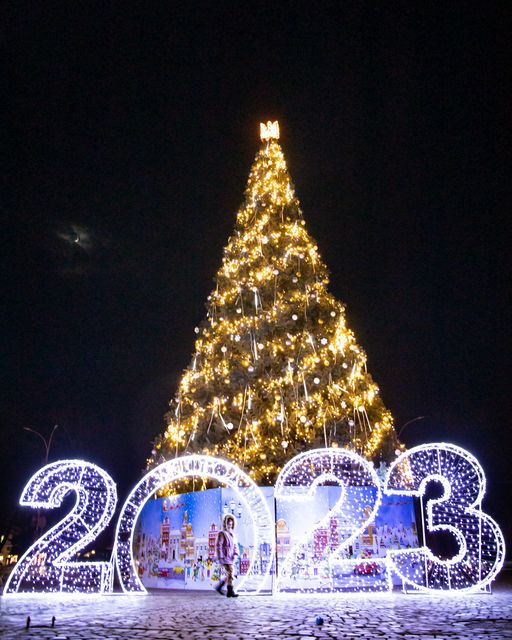 Головна новорічна красуня Закарпаття встановлена на площі Шандора Петефі.