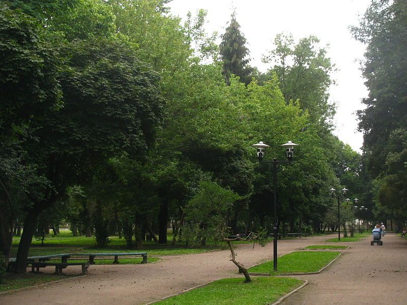 У середу, 17 травня, у Левандівському парку у Львові перехожі побачили на дереві повішеного чоловіка.
