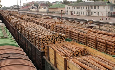 З України до країн ЄС імпортується більше незаконної деревини, ніж з будь-якої іншої країни світу і більше, аніж із країн Латинської Америки, Африки та Південно-Східної Азії, разом узятих.

