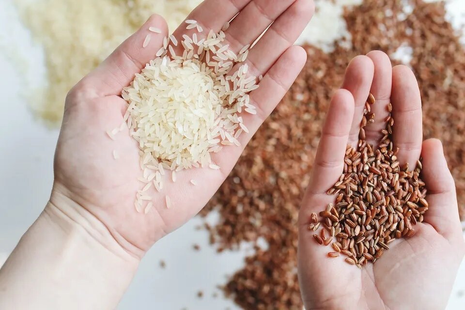 Коричневий і білий рис дуже схожі, оскільки виготовляються з одного і того ж зерна. Різниця в їх поживній цінності пов'язана зі способом обробки зерна.