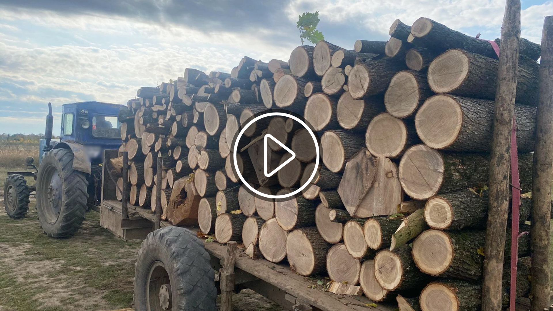 На Заході України прикордонники зупинили трактор з незаконною деревиною (ВІДЕО)