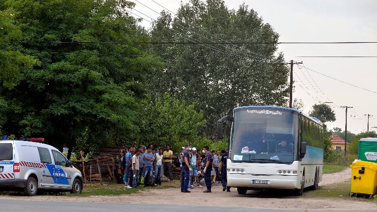 Венгерские правоохранители задержали более 1300 нелегалов 