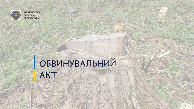 Хустською окружною прокуратурою скеровано до суду обвинувальний акт щодо жителя с. Вільшани за фактом незаконної порубки лісу, що спричинила тяжкі наслідки (ч. 4 ст. 246 КК України).