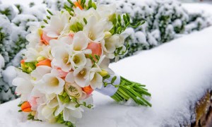26 грудня народилася Надь-Дарчі Надія Іванівна.