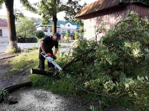 Впродовж 21-23 липня сильний вітер пройшовся Закарпаттям. Наслідком негоди стали повалені дерева на території м. Ужгород, а також у Мукачівському та Свалявському районах.

