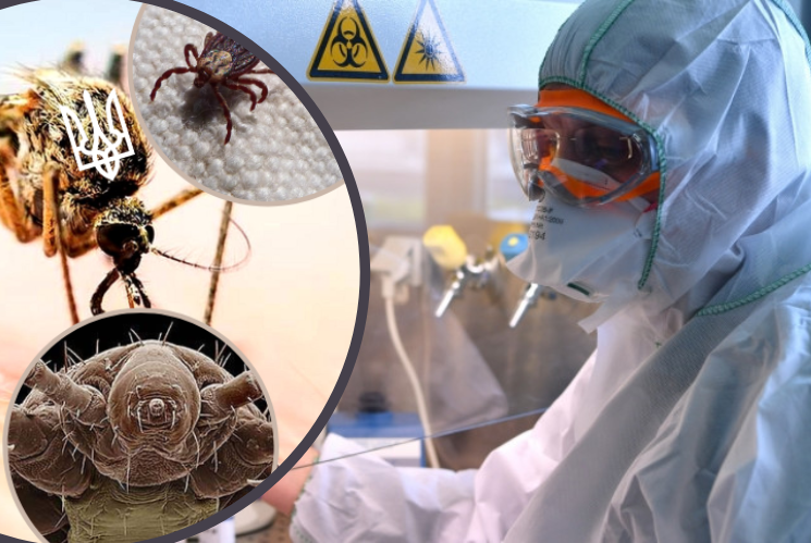 Бойові комарі, кліщі та воші: в Росії заявили, що на території України діють біолабораторії