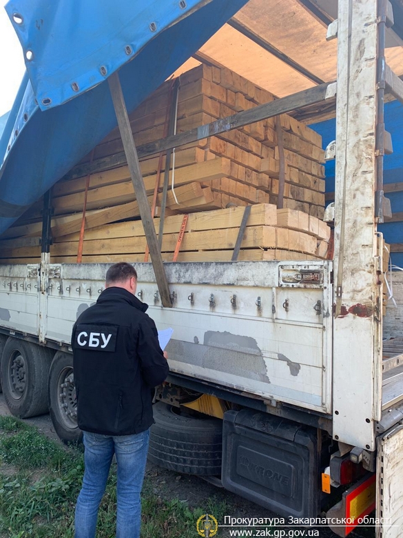 Правоохоронцями викрито та припинено незаконну схему вивезення деревини до країн Європи.