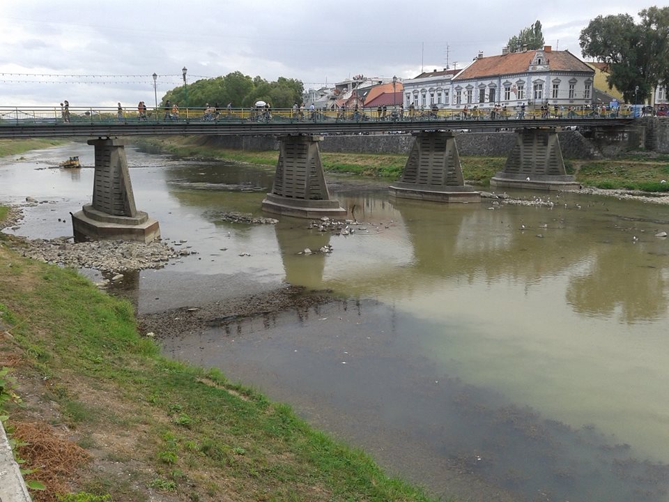 Лебеді, які не так давно оселилися на річці Уж поблизу пішохідного мосту в Ужгороді, відлетіли.