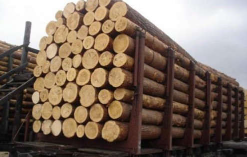 Житель Перечинського району перевозив у МАЗі з причепом 37 кубів деревини бука, яка не мала відповідного маркування. Вантаж затримано.