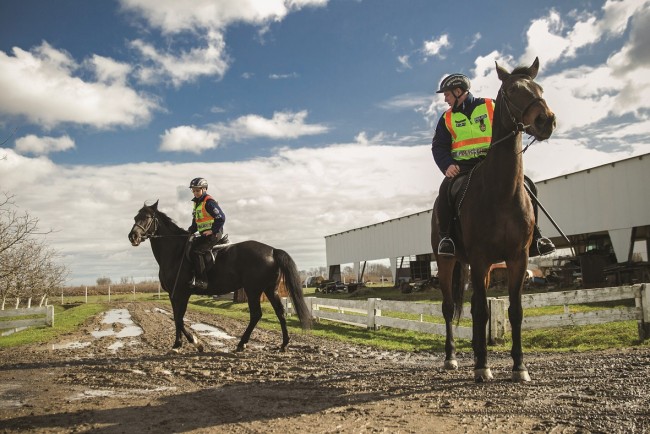 Венгерскую сторону границы КПП «Лужанка-Берегшурань» охраняет полиция на лошадях