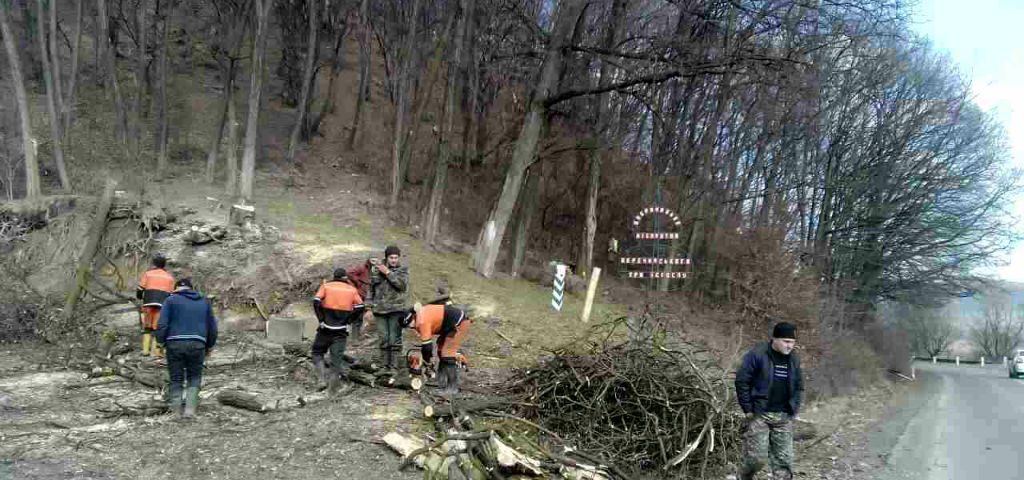 Лісівники Перечинського держлісгоспу поставили перед собою завдання - планується виконати очищення лісу вздовж автомобільної дороги.