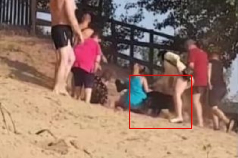 Конфлікт між охоронцем пляжу і нетверезими відпочивальниками закінчився бійкою і укусами.