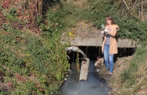 Скандал з водою у річці Перечина: місцеві розповіли подробиці (ВІДЕО)