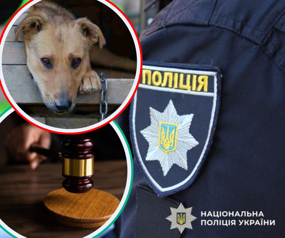 Жорстоке вбивство чотирилапого на Хустщині: суд розгляне запобіжний захід підозрюваному у скоєнні злочину