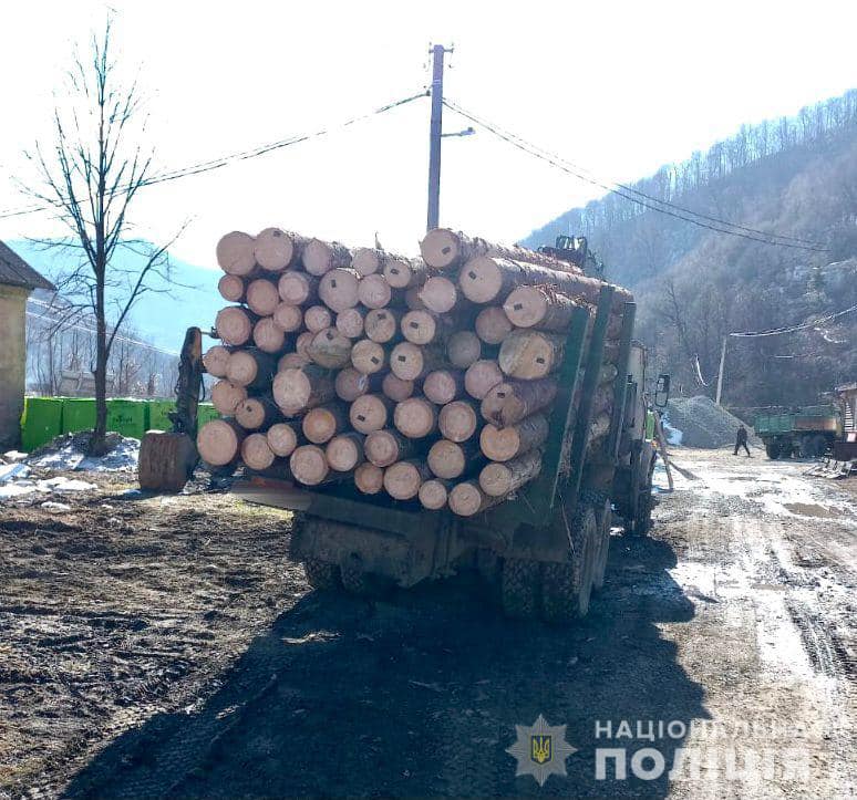 Вантажівка везла понад 12,3 кубометрів деревини породи «Ялина».