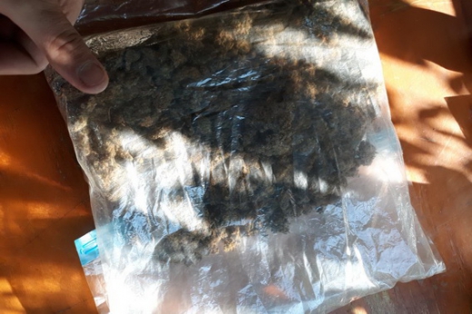 У гаражному приміщенні за місцем проживання 49-річного мешканця села Минай поліцейські вилучили кілограм марихуани та три пакунки з засушеними галюциногенними грибами. 