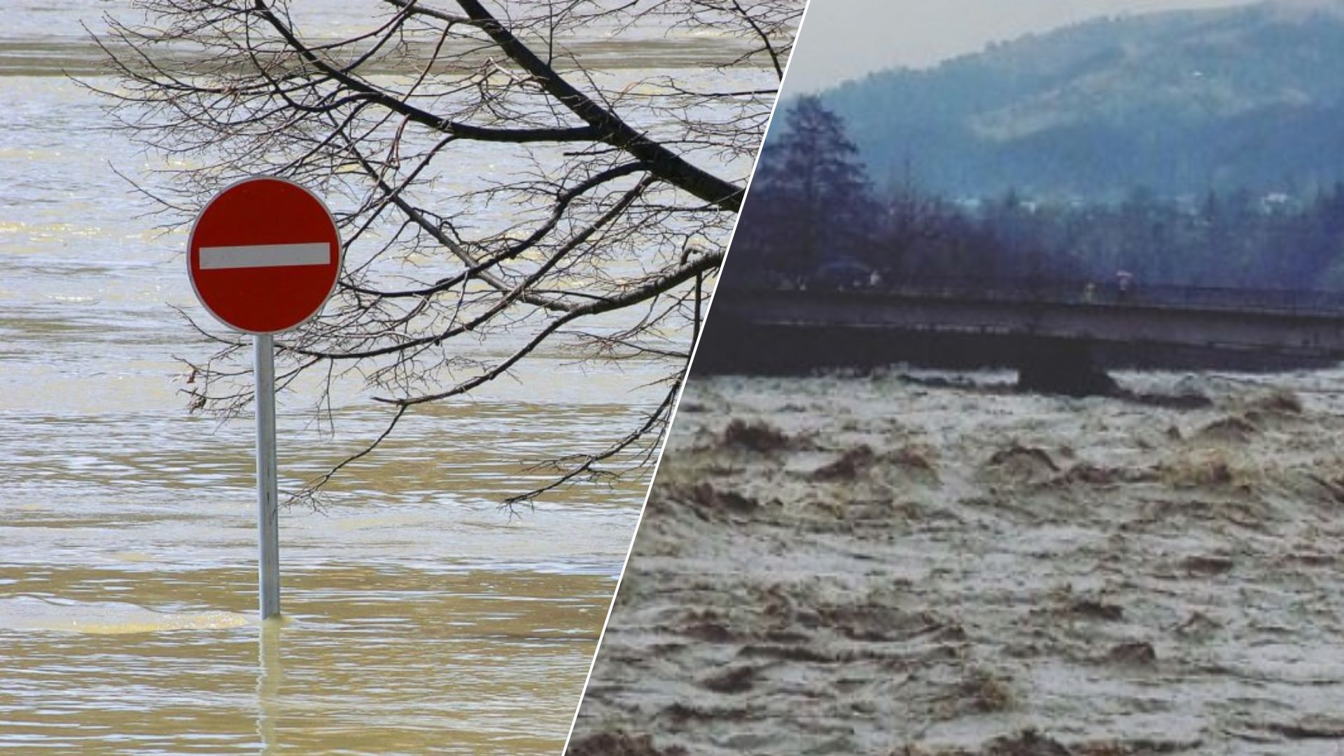 На Закарпатье идет большая вода, люди уже плывут: есть угроза подтоплений в нескольких районах