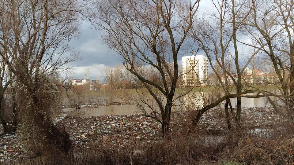 У Словаччині обурені великою кількістю сміття, котре принесло течією із Закарпаття / ВІДЕО