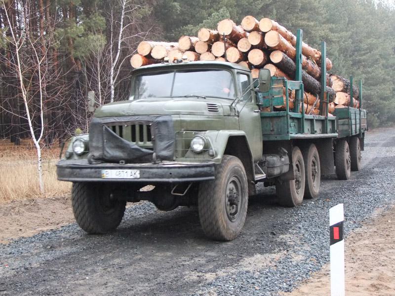 Документы на древесину вызвали у правоохранителей сомнение, поэтому УРАЛ с 15 кубометрами хвойной древесины задержали и доставили на спецплощадку полиции.