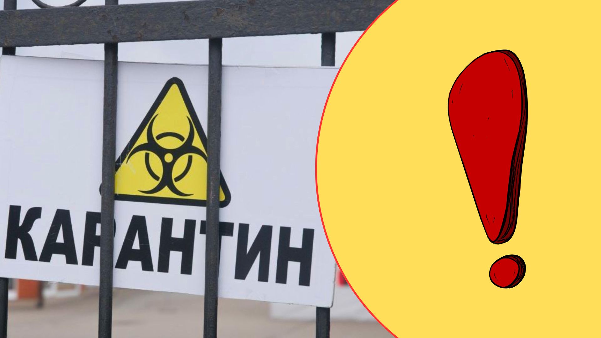 На Закарпатті зафіксували спалах небезпечного захворювання: де оголошено карантин і введено жорсткі обмеження