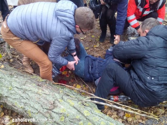 В Ужгороді дерево впало на дівчинку-школярку: медики повідомили про стан дитини